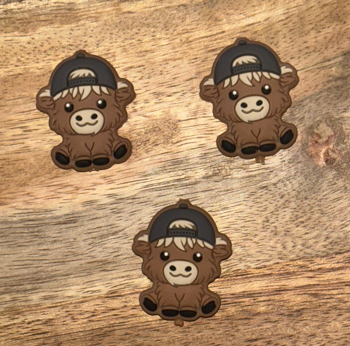Backward Hat Cow Focal